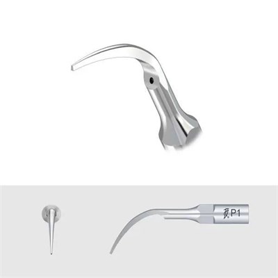 Насадка P1/ EMS, WP, DTE (Китай) Насадка P1